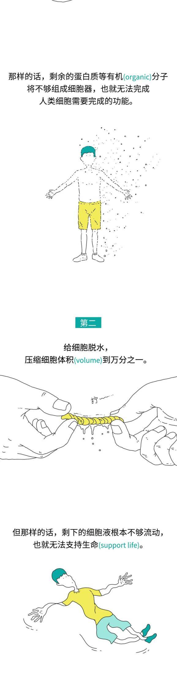 邢昕|哆啦A梦的缩小放大灯原来是个坑？