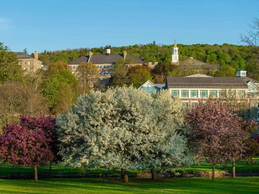 科尔盖特大学 colgate university