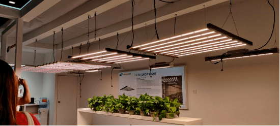 雷曼拓享2021广州光亚展圆满收官