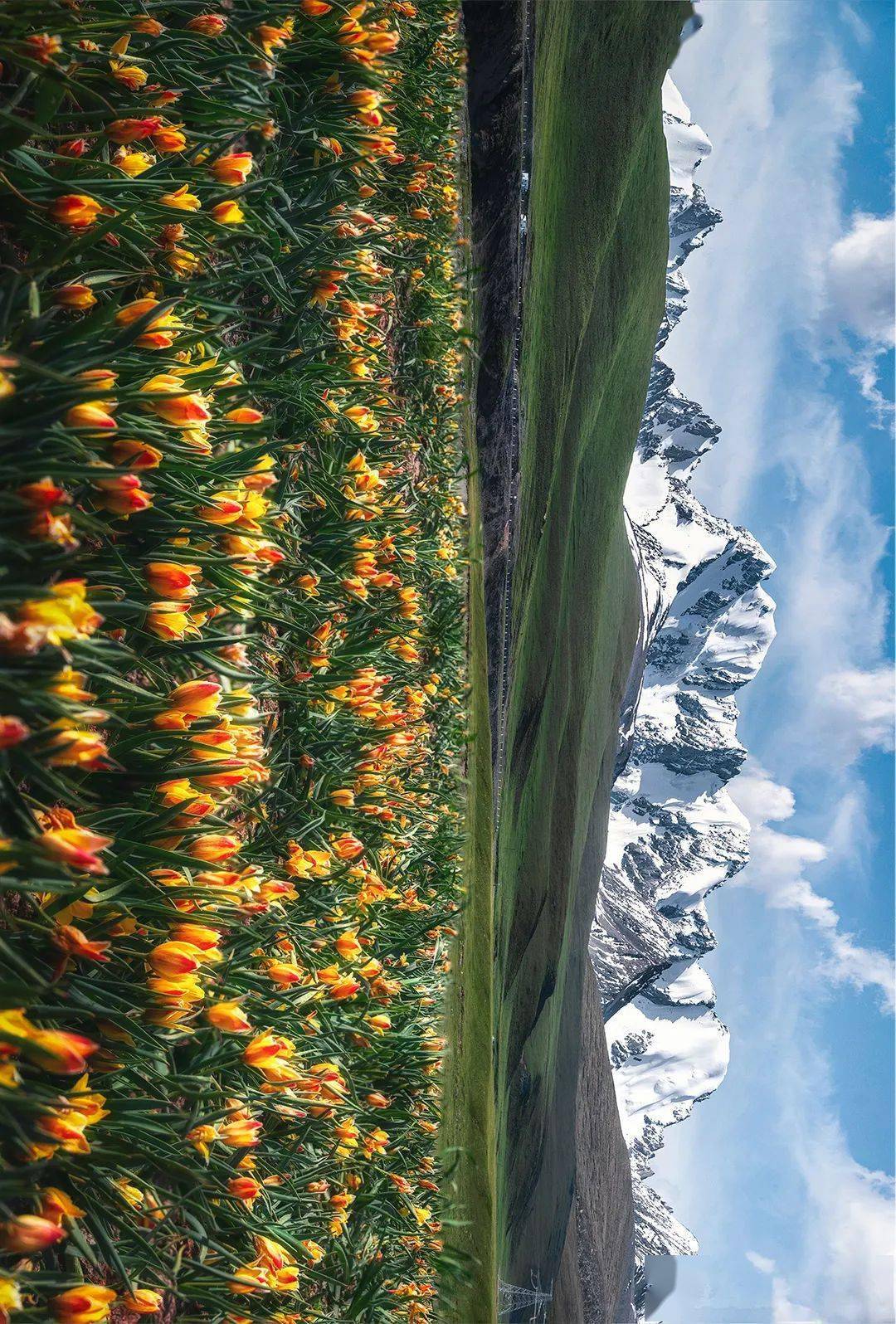 景明器材ii用尼康z 5留住时光里的美景_横屏