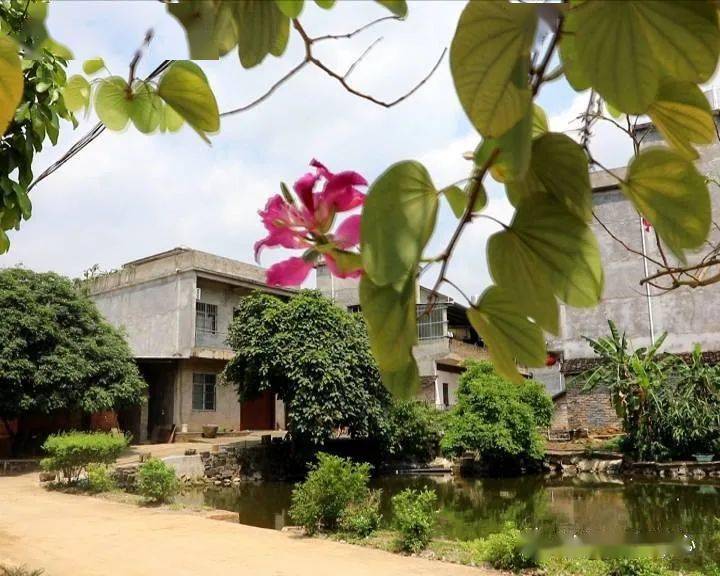 我为群众办实事鸣凤村建好垃圾中转站打造乡村环境整治样板村