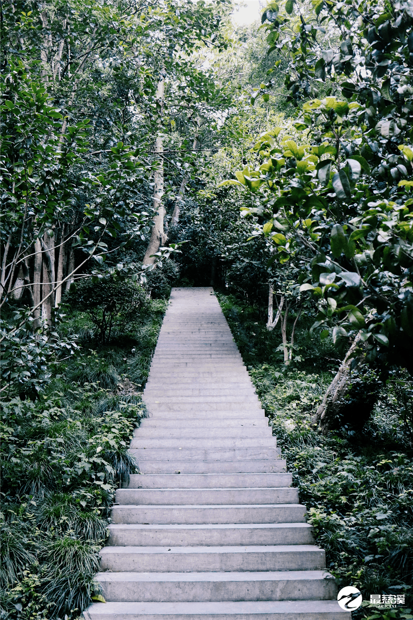 教场山公园想让他火一次