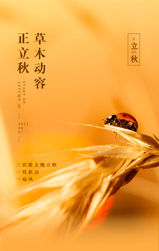 立秋超清图片 立秋祝福语简短一句话_短信