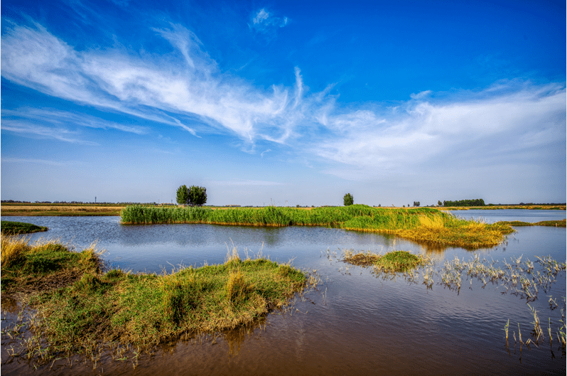 这,就是保定|贰拾肆·九河汇聚