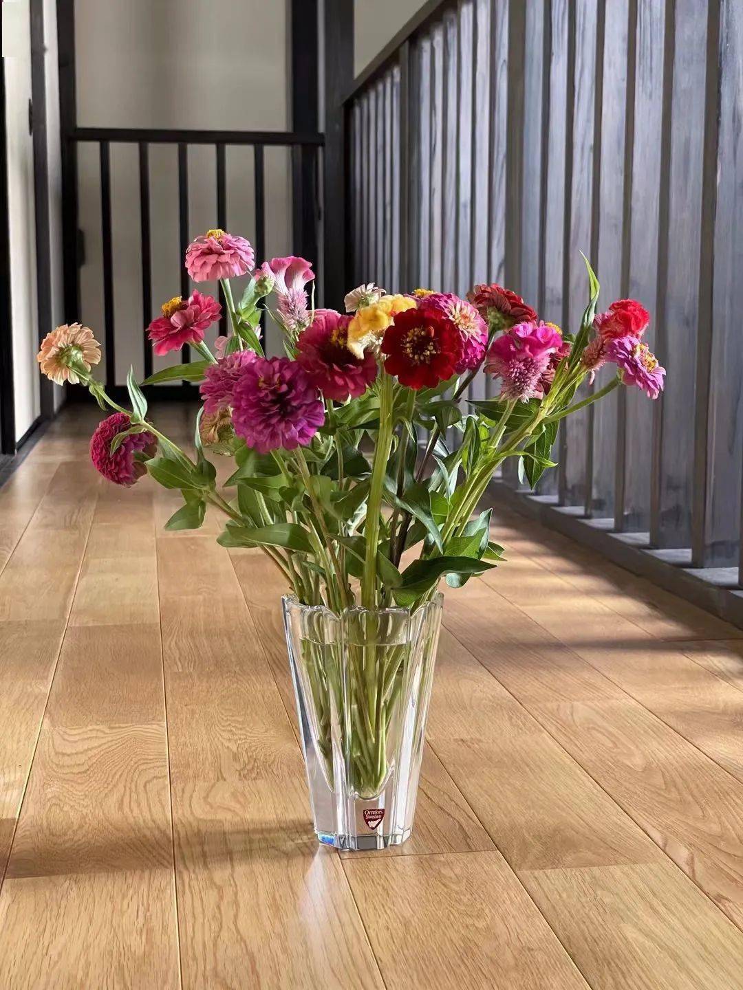 在市集上买了点向日葵,鸡冠花,新鲜的苦瓜,蔬菜等,准备迎接天凉好个秋