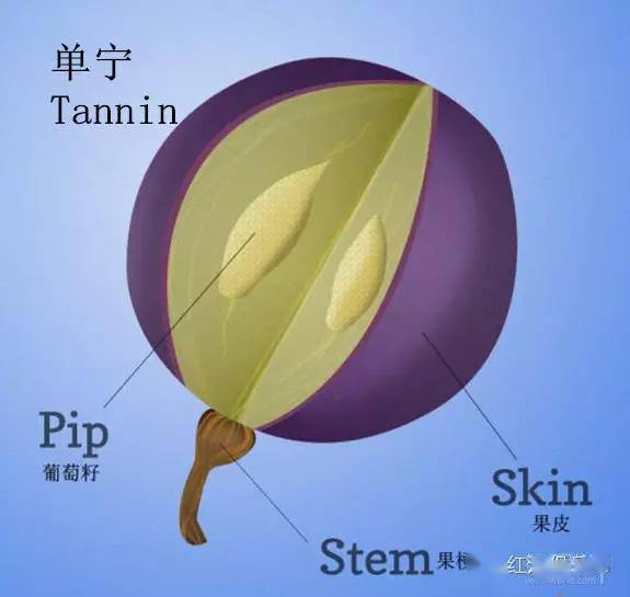 温度|关于葡萄酒,很多人不知道这50条有趣真相!