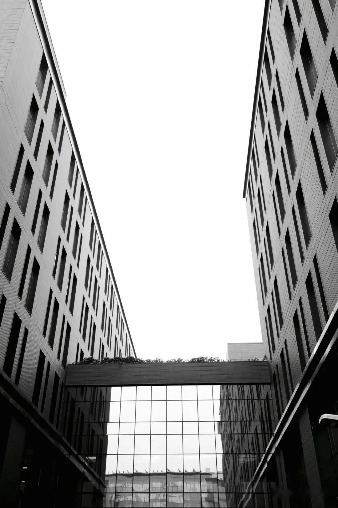 网易北京总部网站建设时间_(网易北京总部网站建设时间是多久)