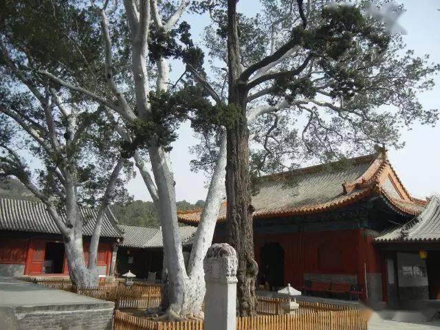 法海寺和承恩寺图片