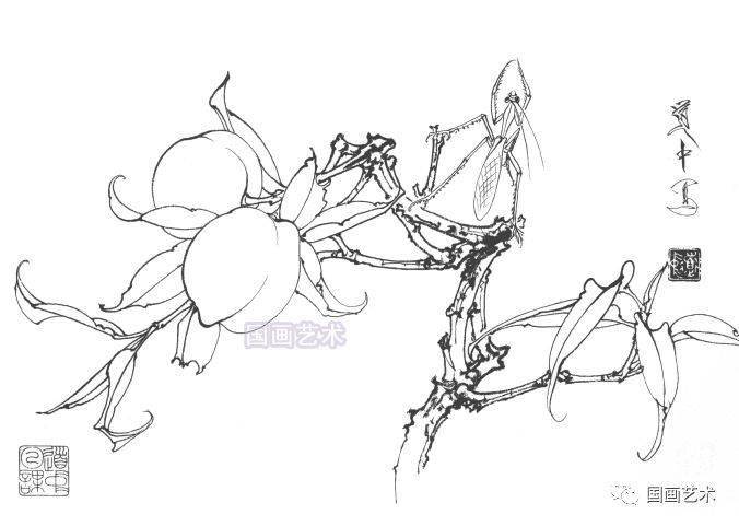 王道中工笔草虫白描画稿欣赏