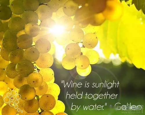 with|酒内存知己:选酒友和选酒一样重要