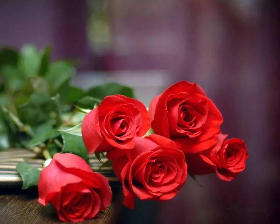 33朵红玫瑰的花语 33朵玫瑰一般要多少钱