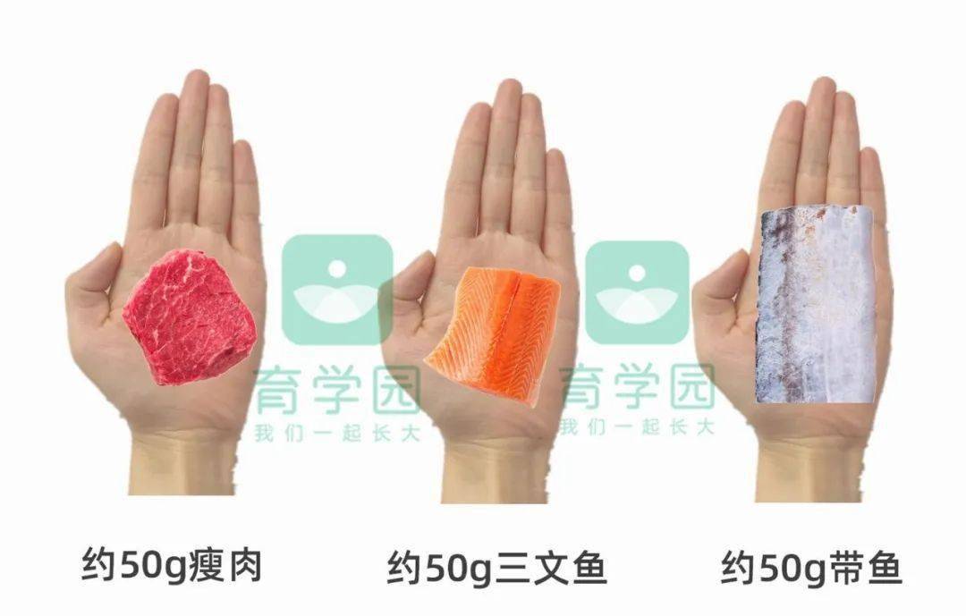 月龄|别乱补!入秋后宝宝爱生病、食欲差…“贴秋膘”要注意这3点！