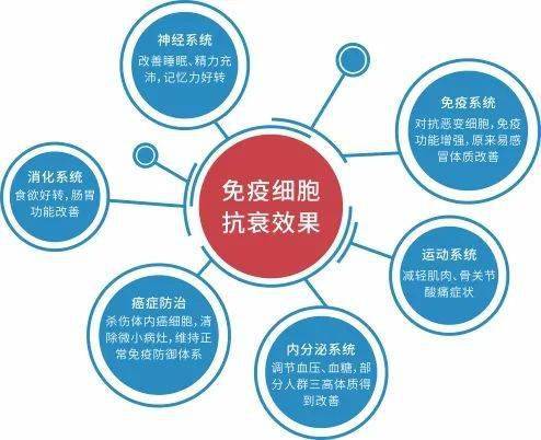 為什麼要凍存我們的免疫細胞800萬大數據40歲後免疫細胞大幅度衰老