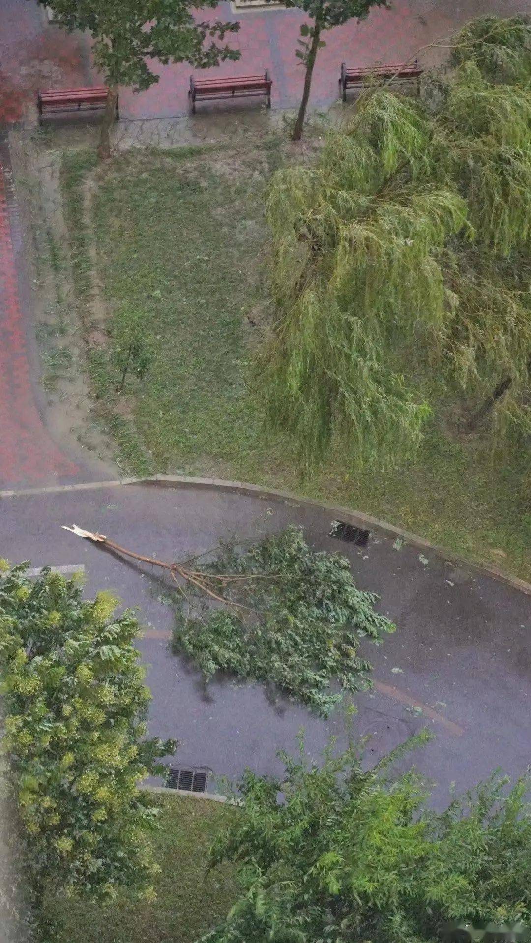 暴风骤雨(暴风骤雨的意思)