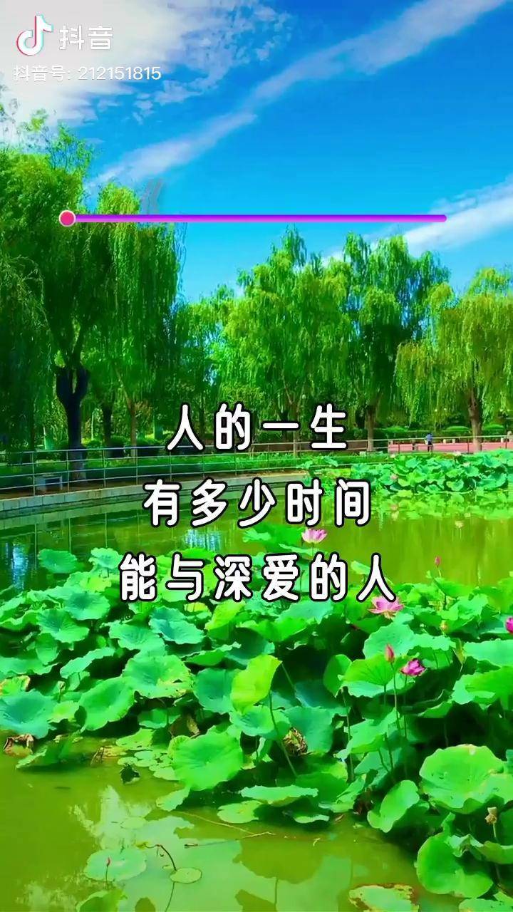 这首歌听不够下辈子不一定遇见一首好歌送给大家dou小助手