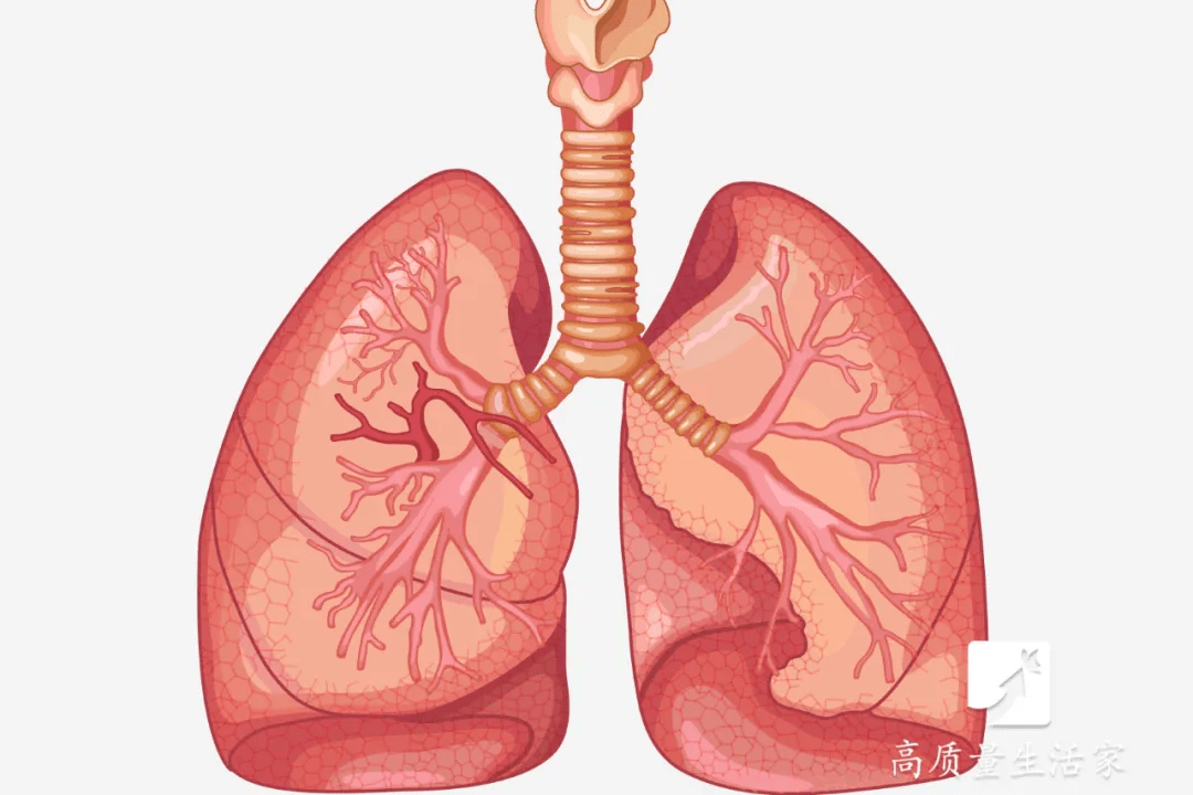 影响|经常凌晨3、4点醒来就睡不着？可能和3个原因有关！