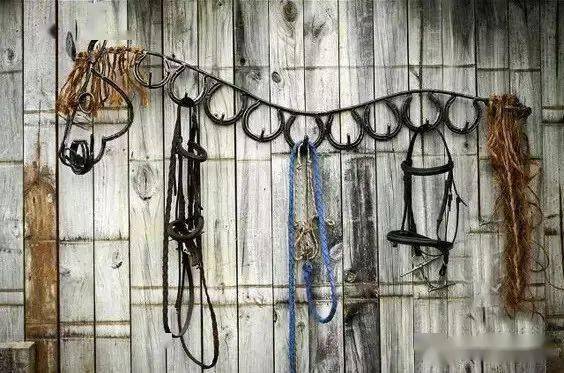 那些让你脑洞大开的马蹄铁