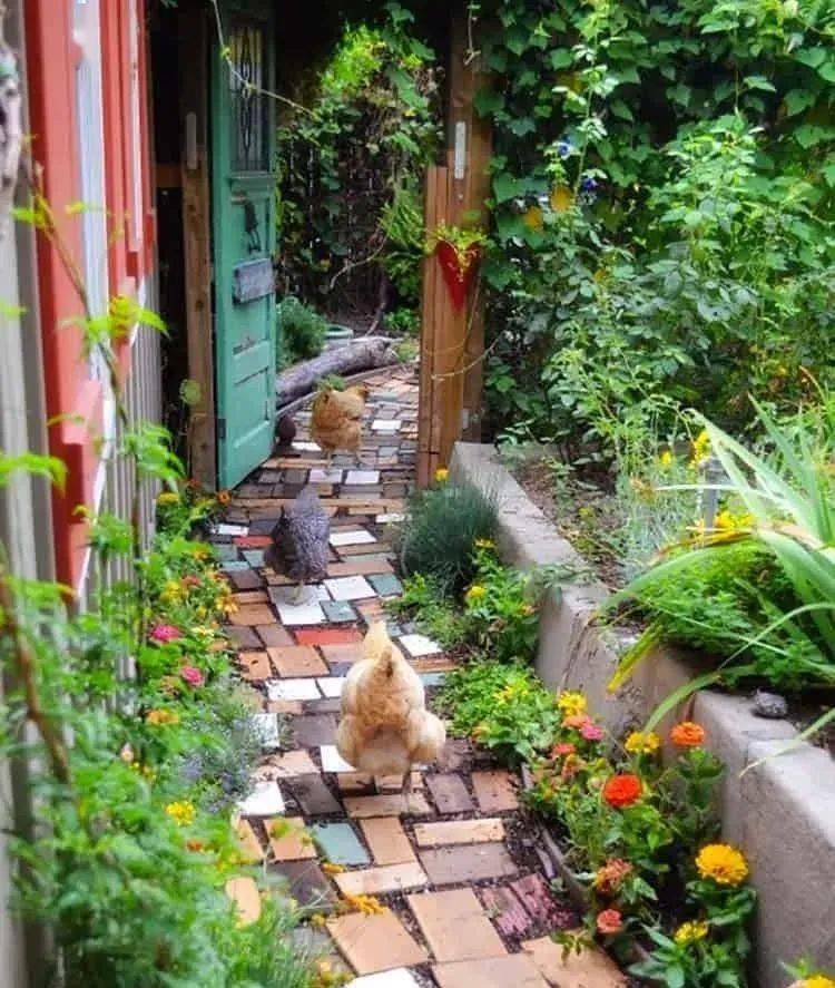 精选50款庭院小径踏出一地诗意