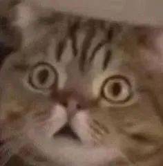 乔西|皮克斯《夏日友晴天》定档；正午新剧《乔家的儿女》定档