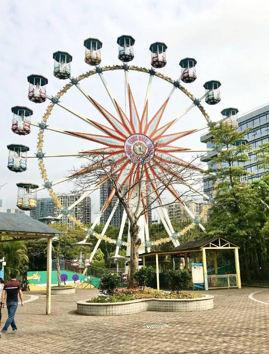 攀巖牆 蹺蹺板 鞦韆都太可了 絕對能玩夠 深圳市兒童樂園 深圳市