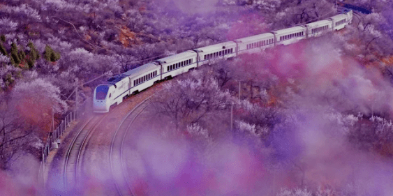 【京声京视】《网红列车画中游》：行进式报道绘就首都生态文明画卷