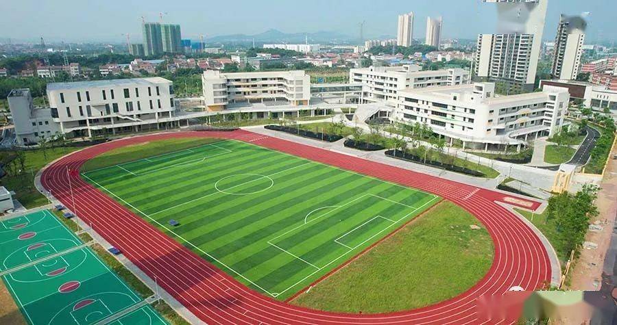 幸福路实验学校吹响优良师资集结号今秋等你入学