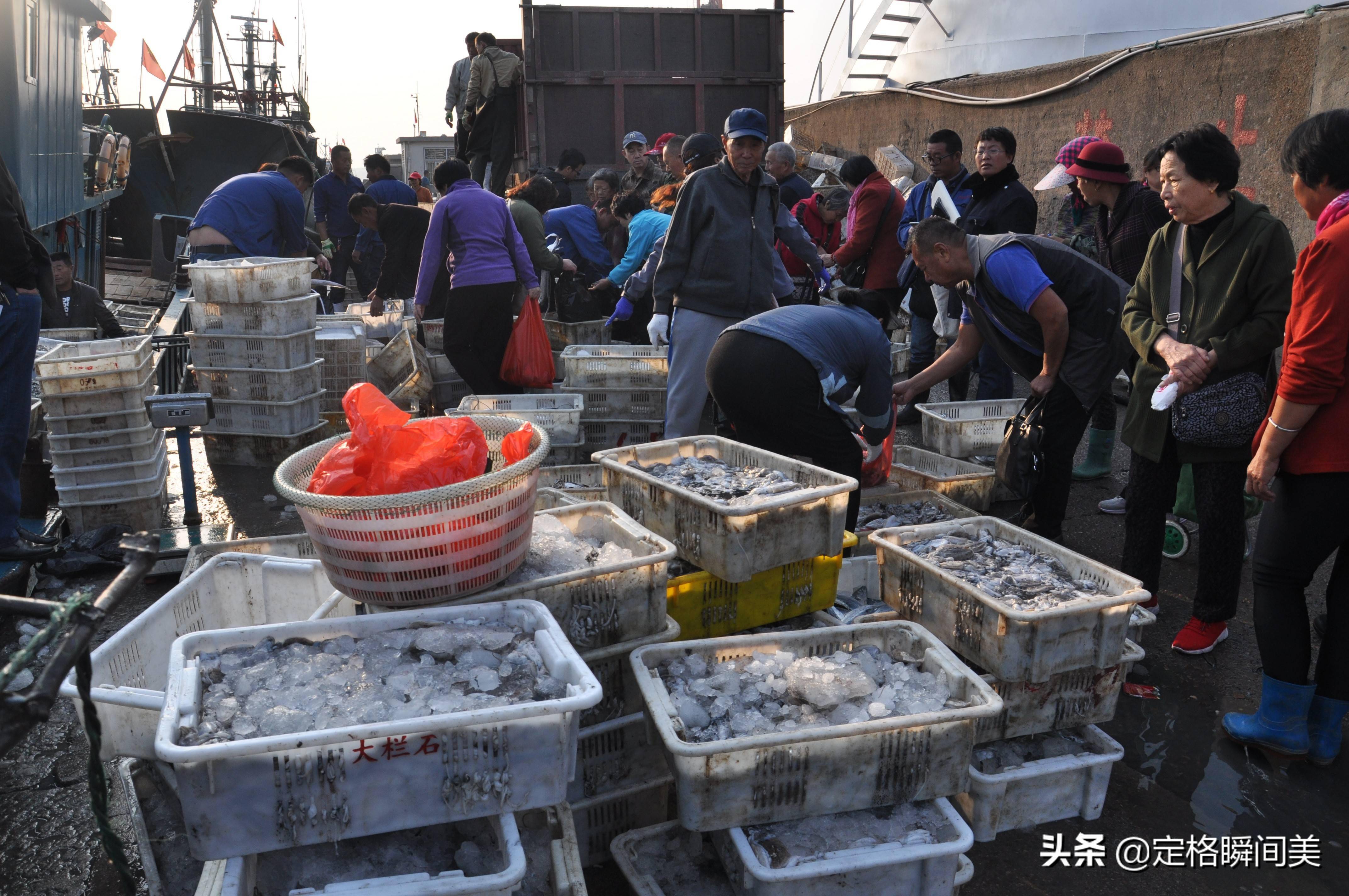 青岛开海在即,盘点本地码头的小海鲜,刀鱼不到10元一斤