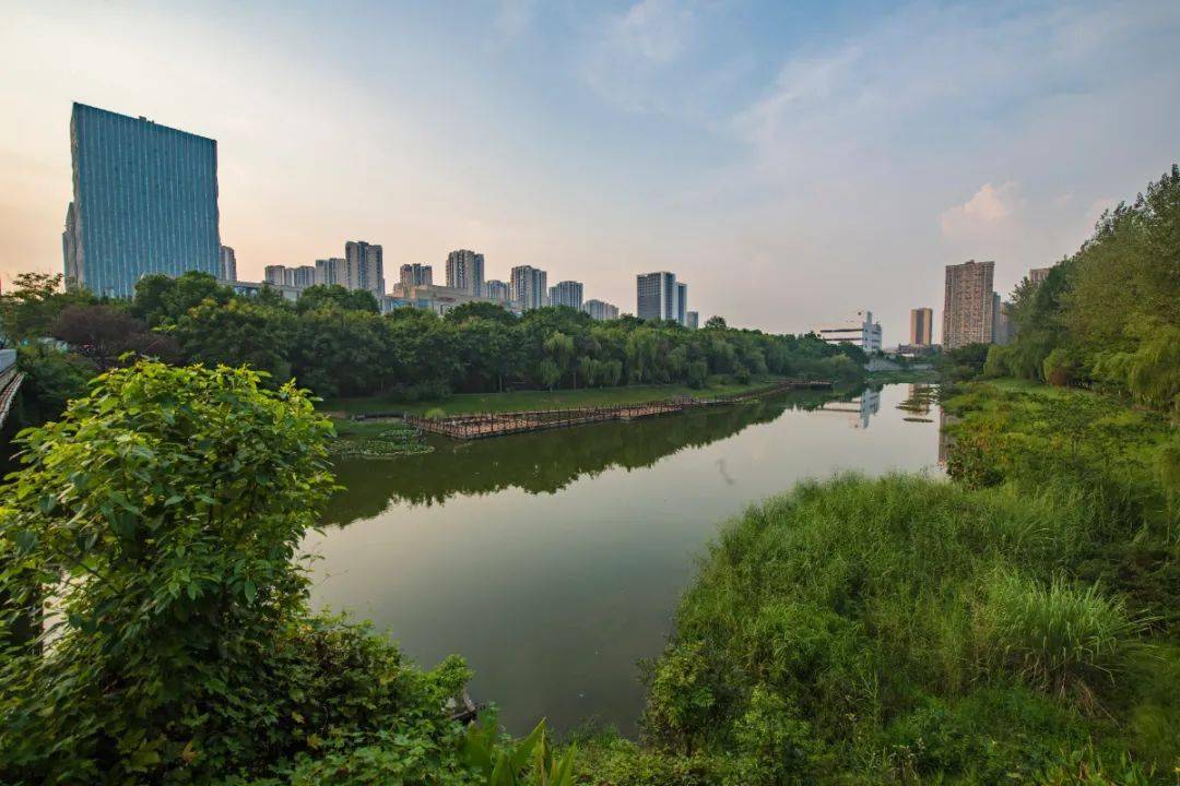 这里是广阳岛智创生态城