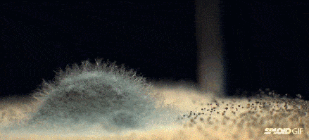 秘密|性开放的日本，为何妇科问题全球最低？秘密竟然是...