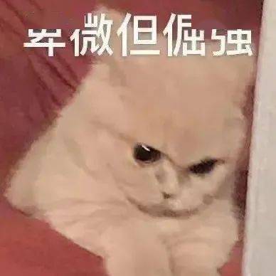 03a93a971428445a8de4a627e749c0d4.jpeg