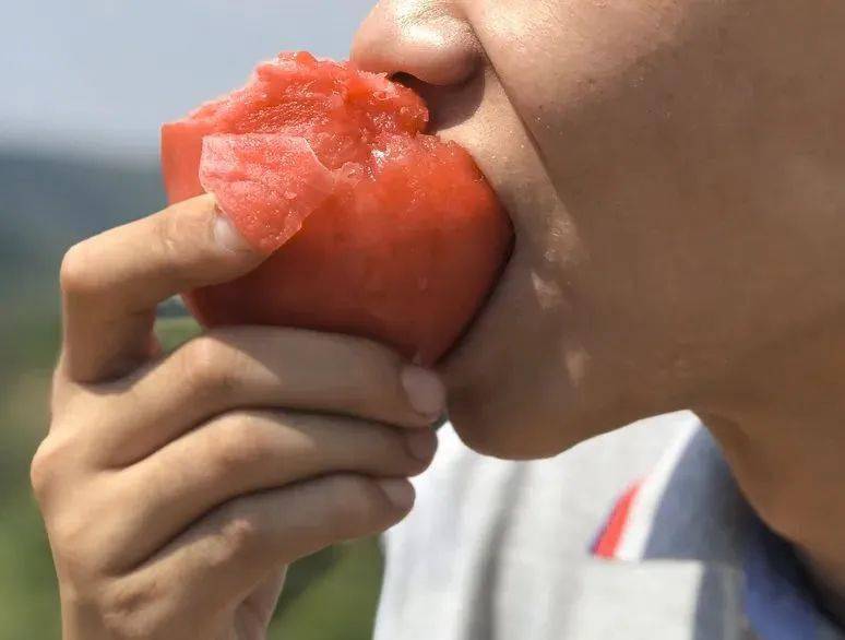 一口梦回儿时的阳光味西红柿绵密多汁沙瓤生吃熟食皆宜