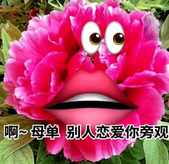 去年好多朋友在情人节收到了朋友点的孤寡青蛙