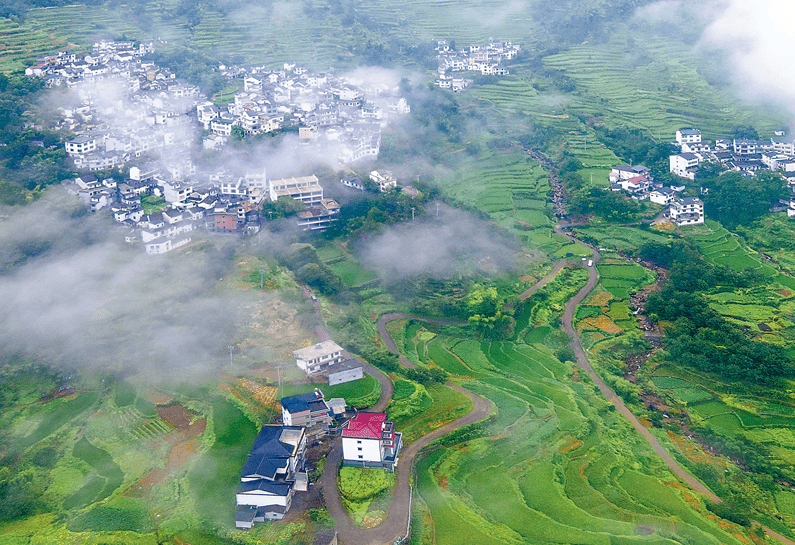 祁门县人口_图片 安徽省黄山市祁门县渚口乡清溪村(2)