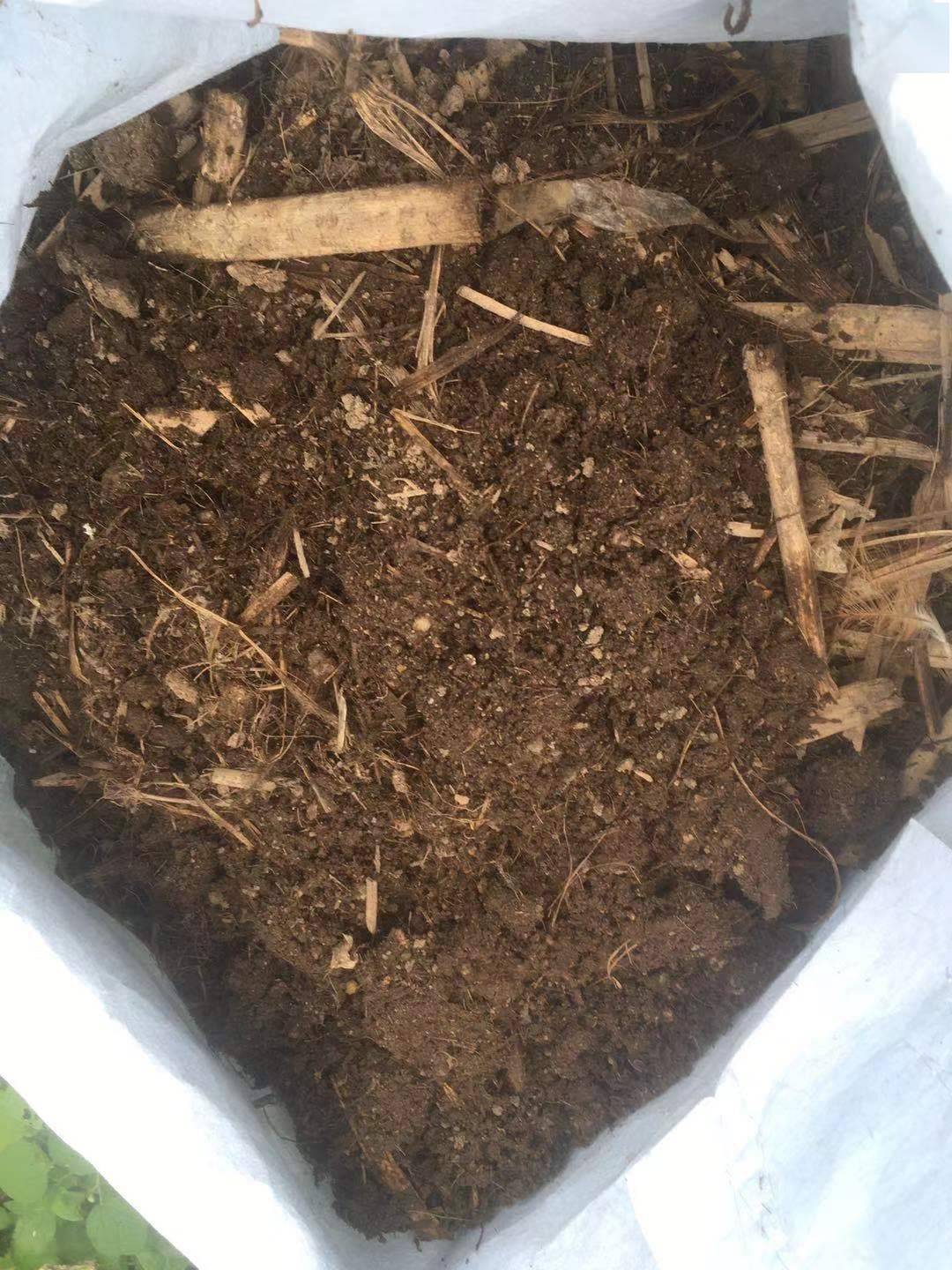 二养花旧土里面加点羊粪羊粪可以直接用来养花不会烧根而且它的肥
