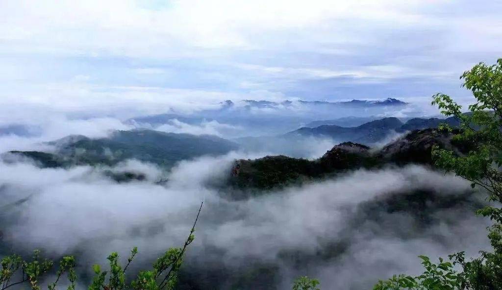 秋色遇上云海你一定想不到入秋的鲁山居然这么美