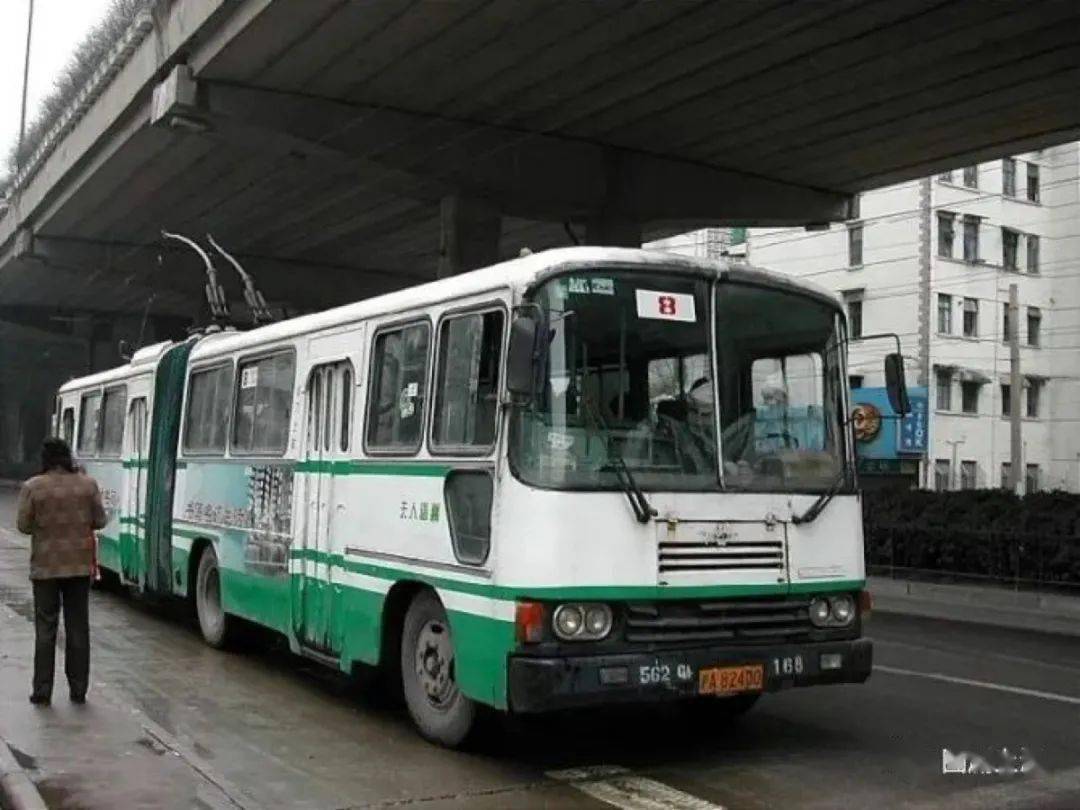 现年38岁.生日:1983.12.25线别:8路