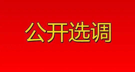 吉首招聘_2021年吉首地区民营企业现场招聘会公告(2)