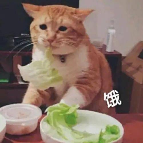 47edec0e6ba74718afed33ae93ca3a3a.jpeg