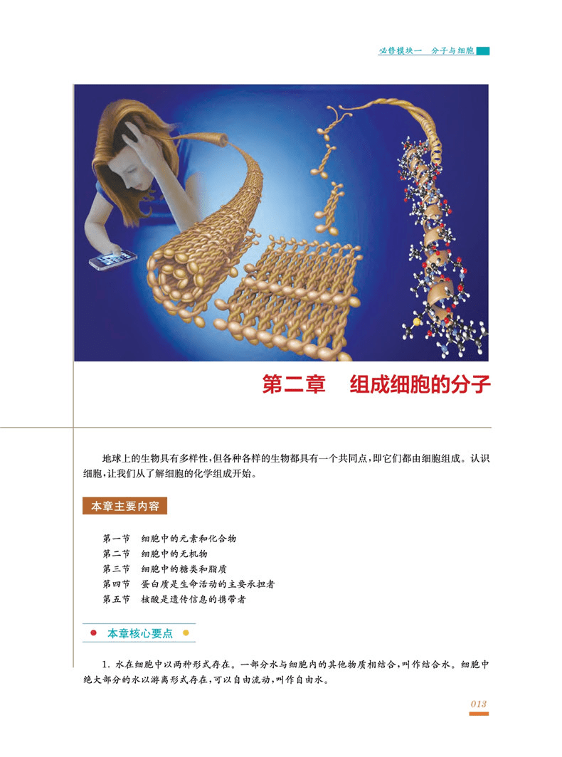 78395c1aedc84d9c97add816605d77a8.png