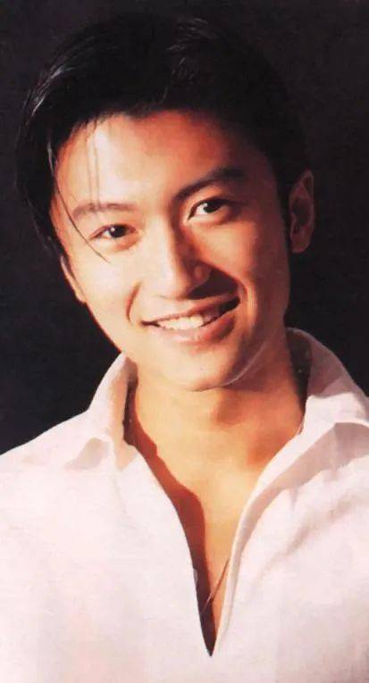 不做饭的谢霆锋是电影里的疯批美人也是王菲的温柔老伴儿
