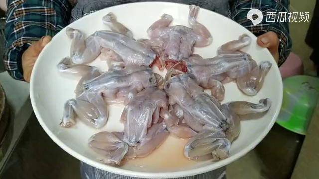 牛蛙还是四川人的做法更好吃,自贡仔姜牛蛙,味道巴适,辣的过瘾