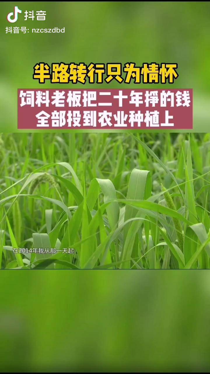 农投抖音号=农业方面的抖音号