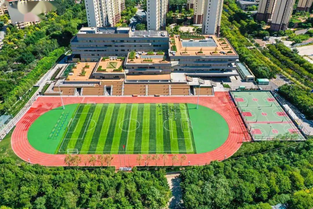 关于滨海小外那些不为人知的"秘密"!_校园