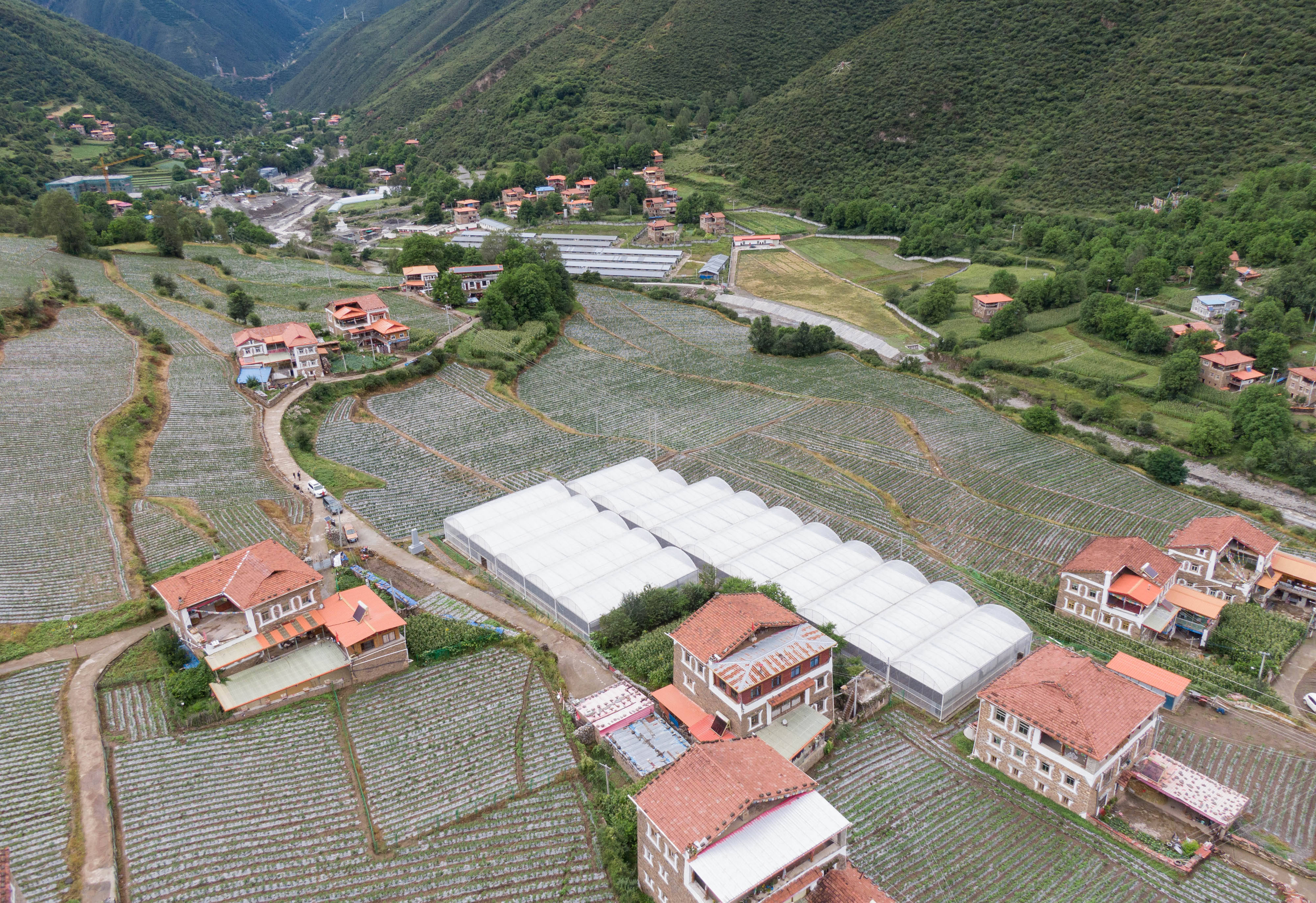 这是四川省阿坝藏族羌族自治州马尔康市松岗镇丹波村的蔬菜基地(8月12