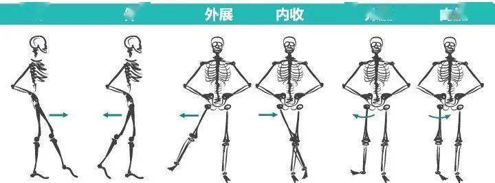 练瑜伽,为什么可以下竖叉,却开不了横叉?_髋关节