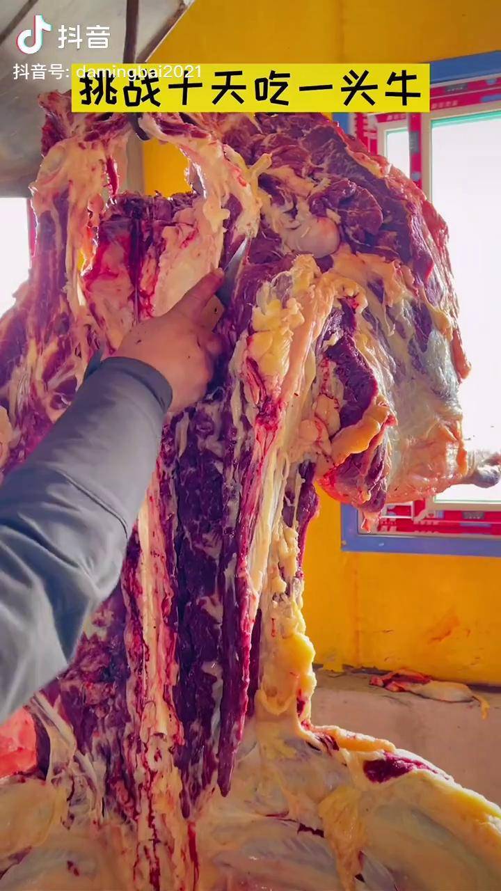 挑战十天吃一头牛第一天牛肉分割好了净重300多斤看看今天吃的是哪块