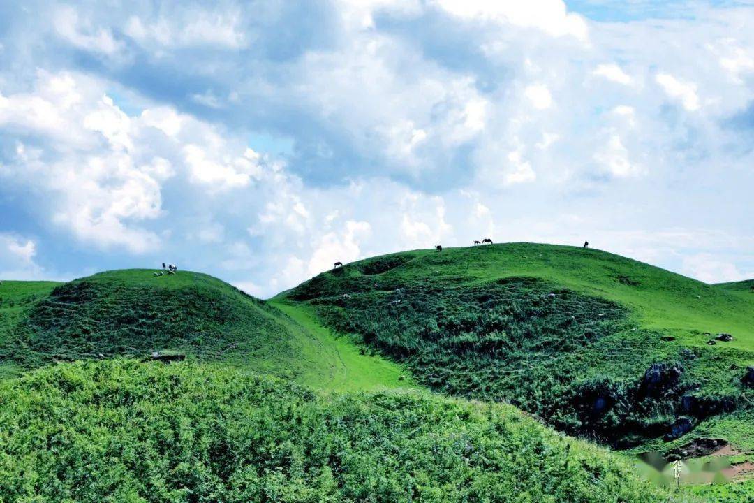 永善马楠山旅游区图片