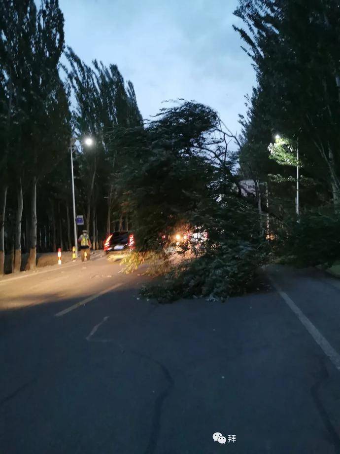 阿克苏地区拜城交警积极应对恶劣天气全力保障道路安全畅通有序