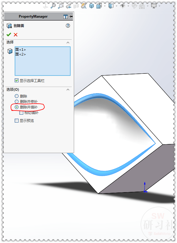 用solidworks畫的帶葉子圖案的手鐲_實體