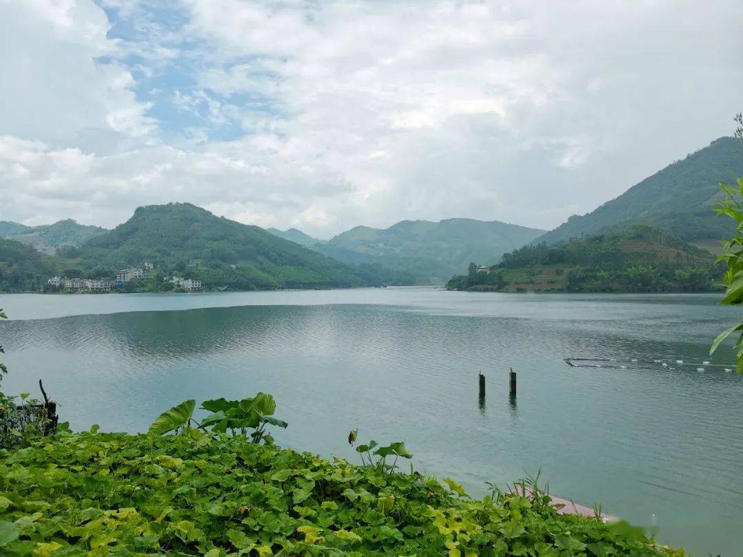 时政聚焦|乙圩乡班朝屯,要打造成网红打卡景点了